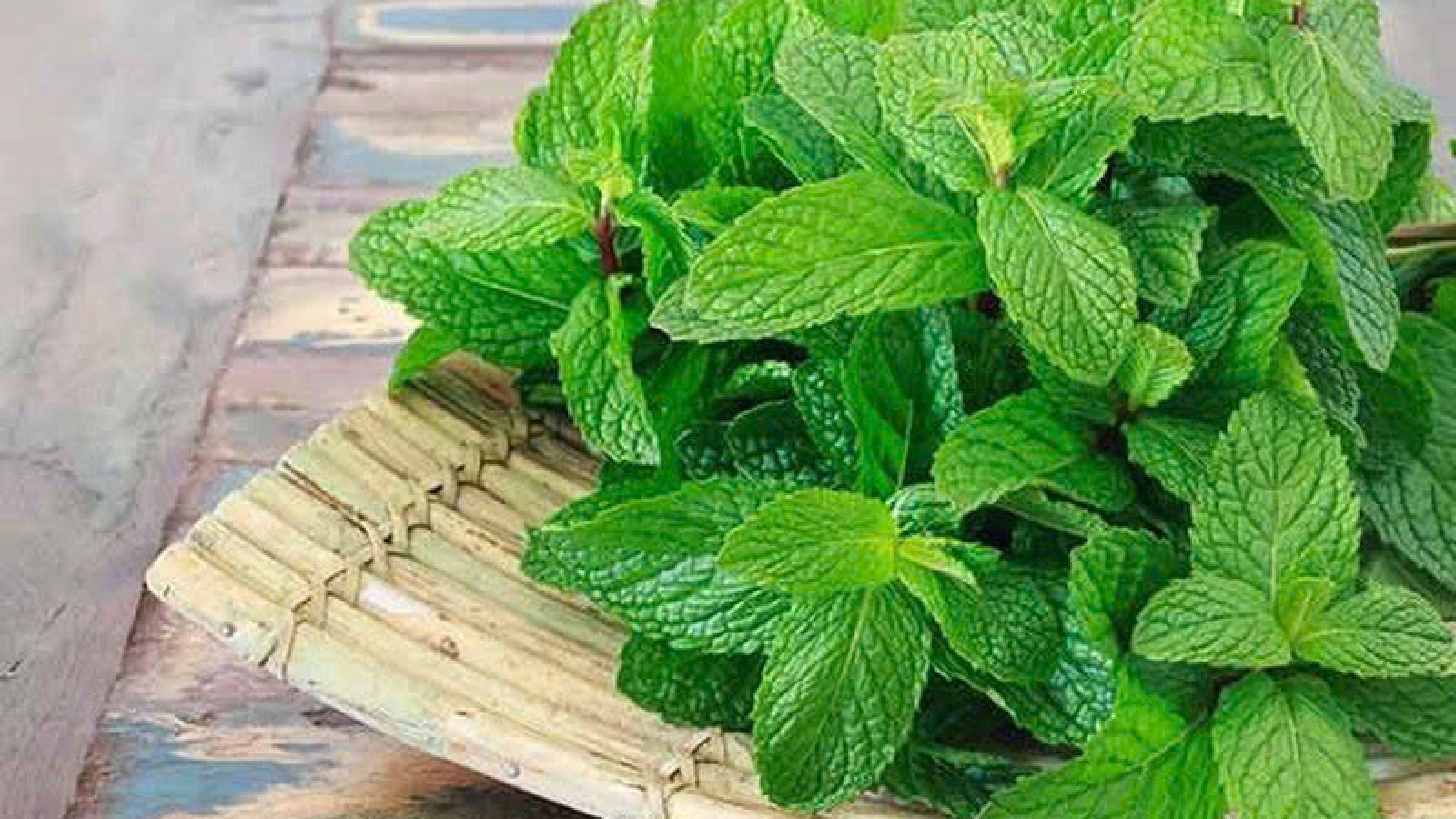Cây thuốc đa năng ăn vào cay tê, the mát, giá rẻ bèo lại bổ dưỡng đủ đường